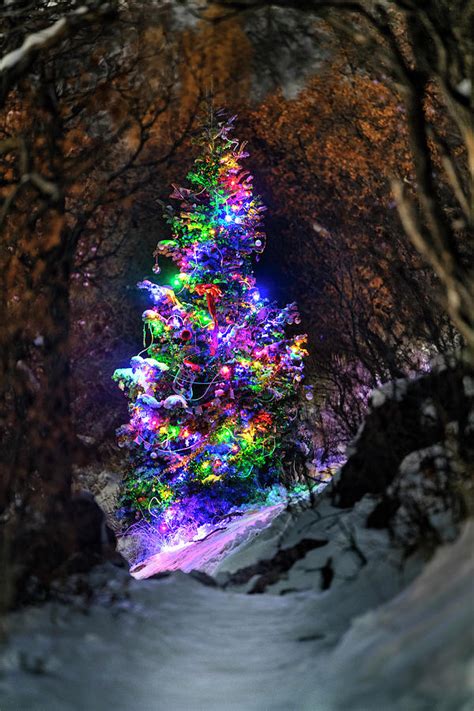 The magical yuletide tree